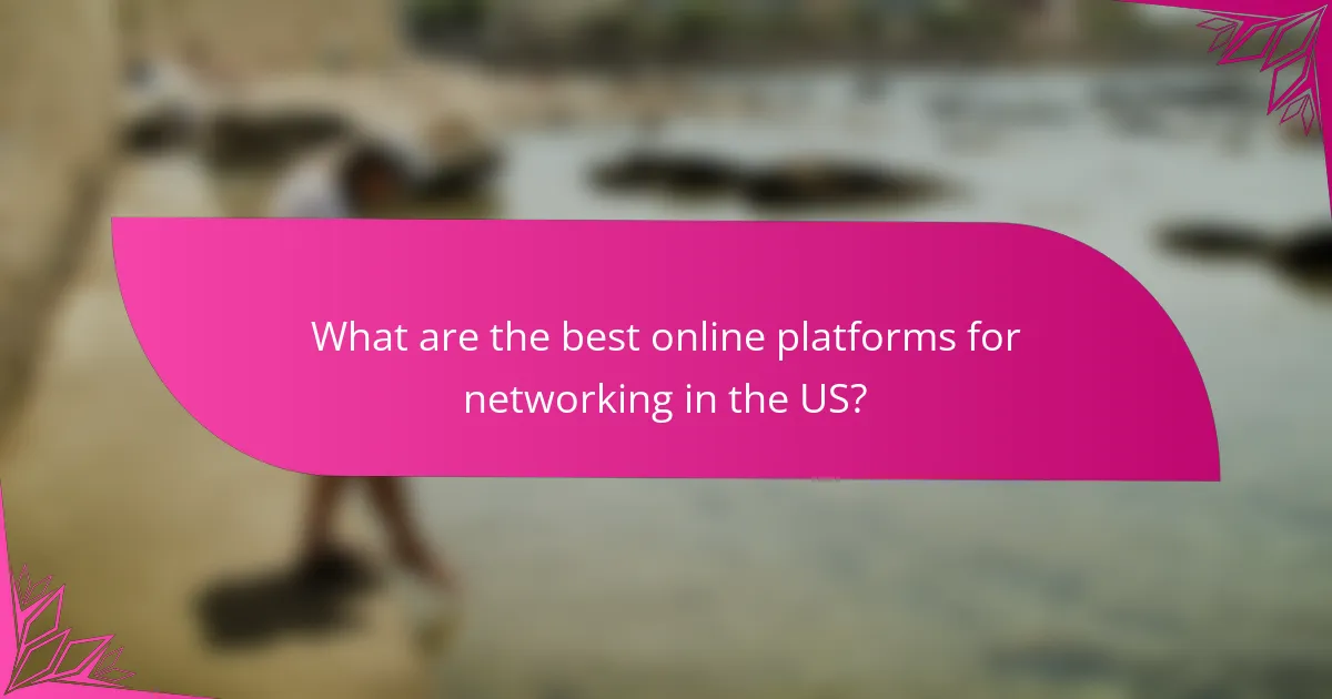 What are the best online platforms for networking in the US?