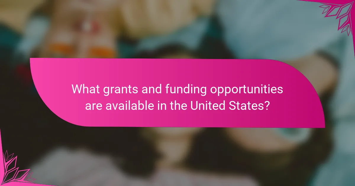 What grants and funding opportunities are available in the United States?