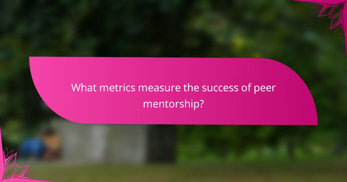 What metrics measure the success of peer mentorship?