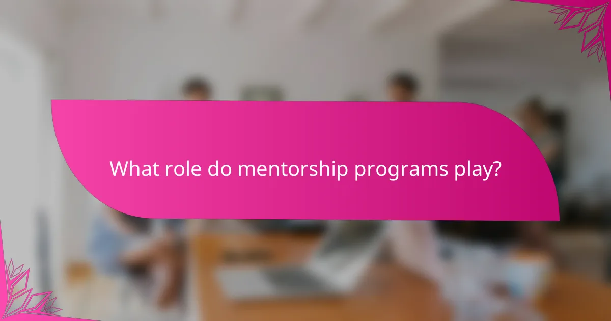 What role do mentorship programs play?